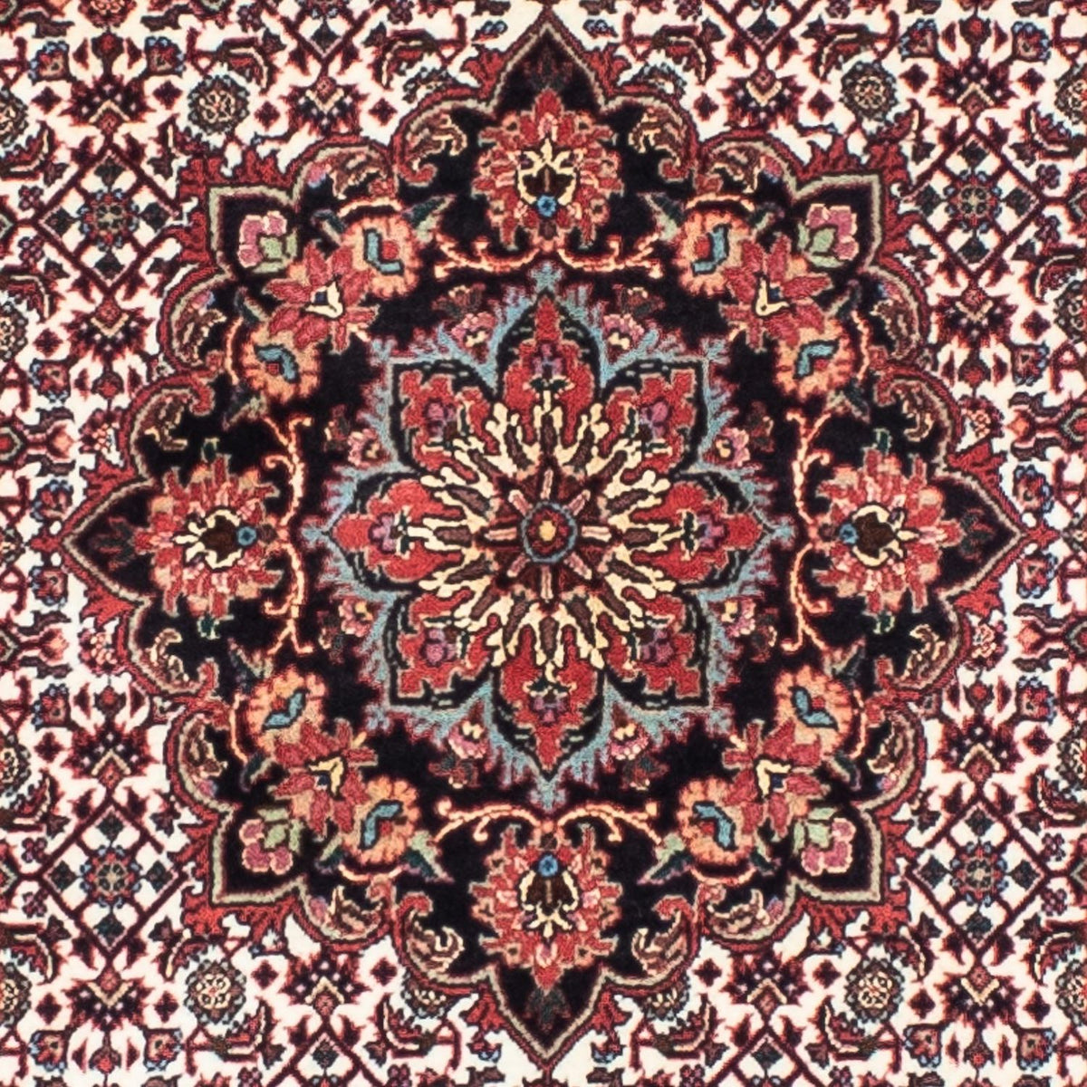 Perserteppich - Bidjar - Royal 240 x 70 cm