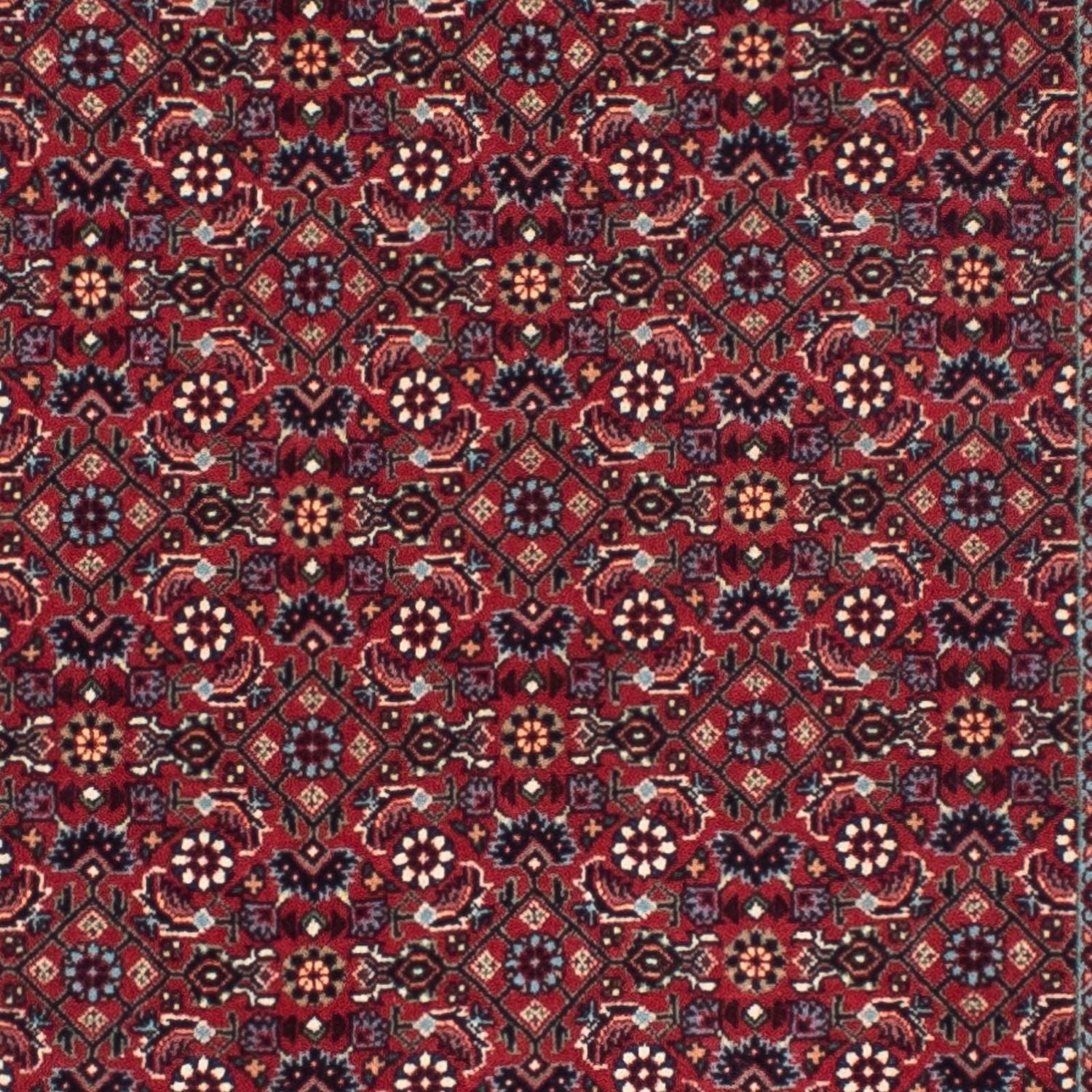 Perserteppich - Bidjar - Royal 302 x 81 cm
