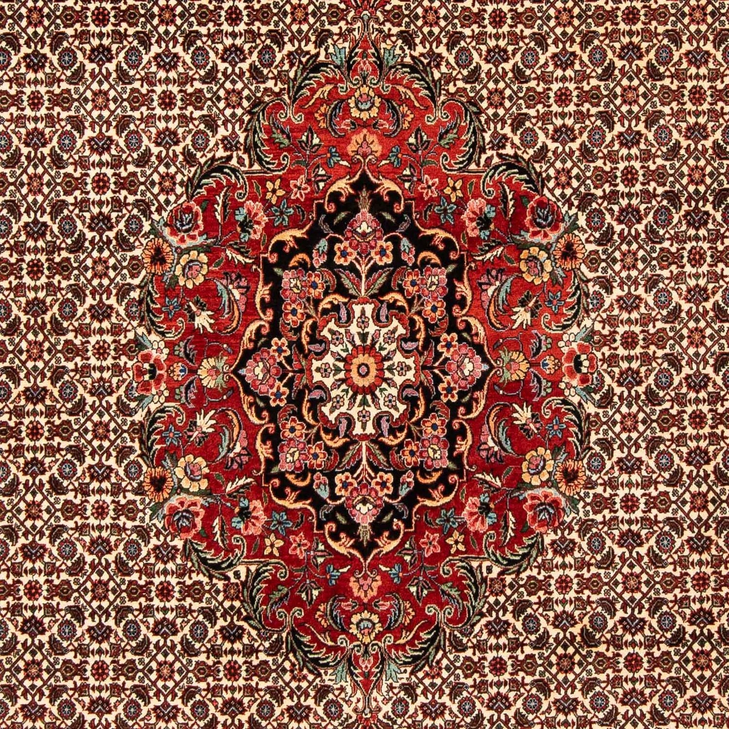 Perserteppich - Bidjar 258 x 200 cm