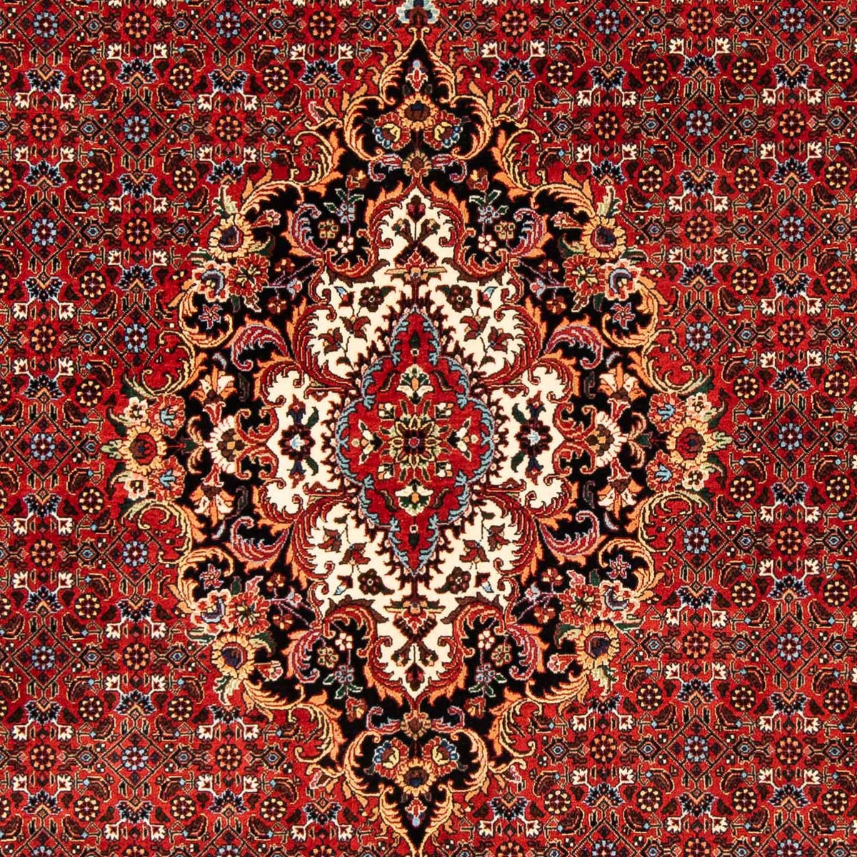 Perserteppich - Bidjar 242 x 168 cm Teppich Wohnzimmer