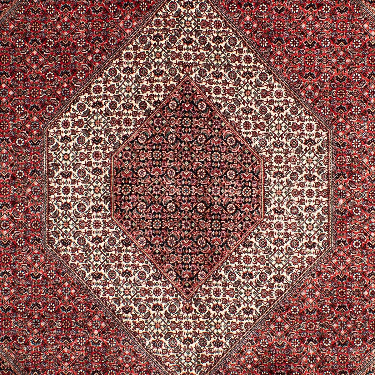 Perserteppich - Bidjar 302 x 204 cm