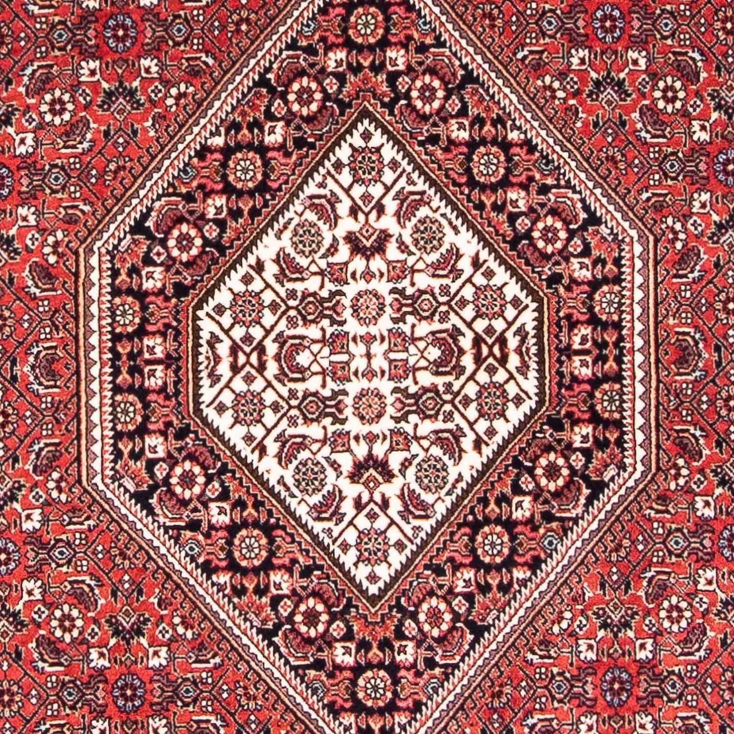 Perserteppich - Bidjar - Royal 174 x 110 cm