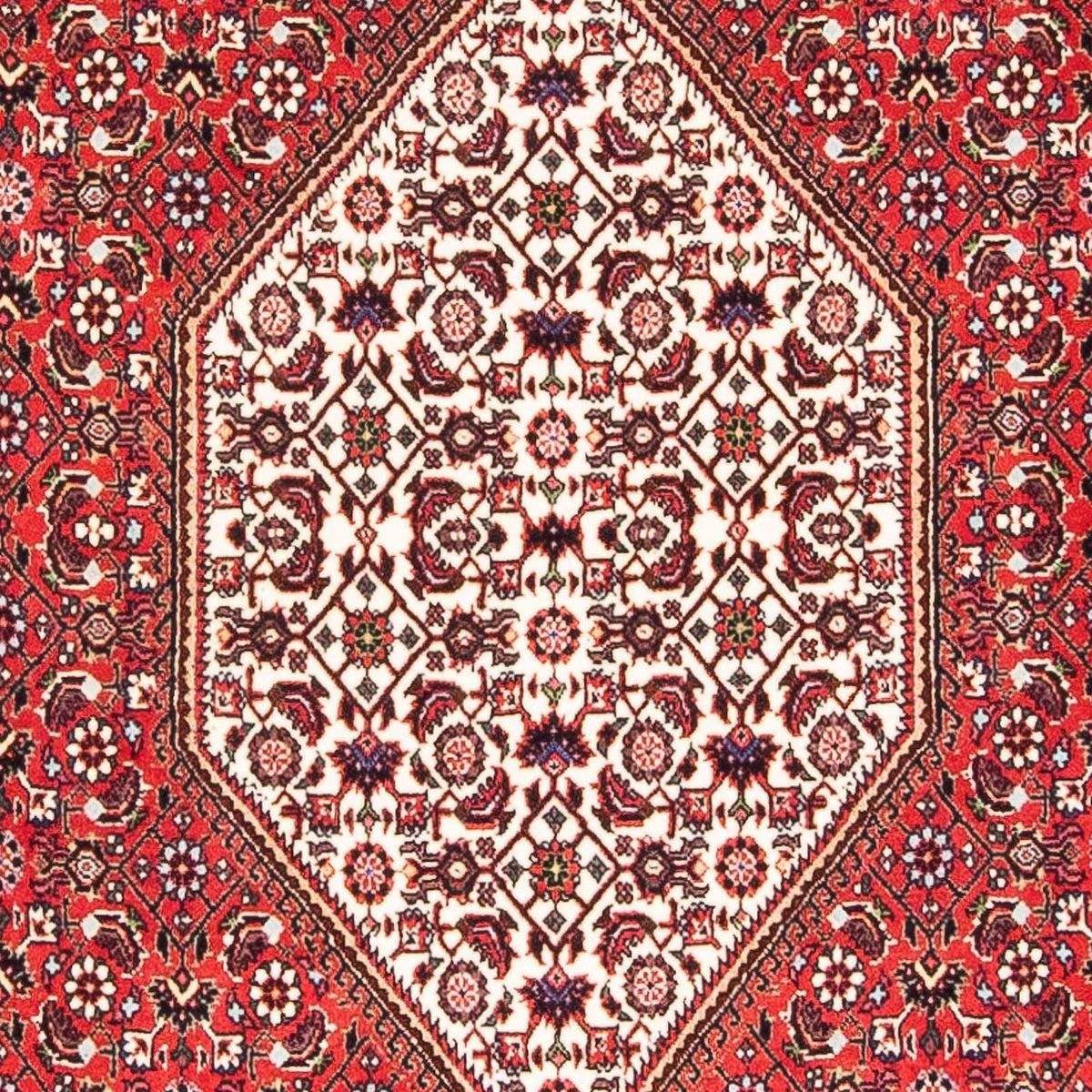 Perserteppich - Bidjar - Royal 175 x 110 cm - rot