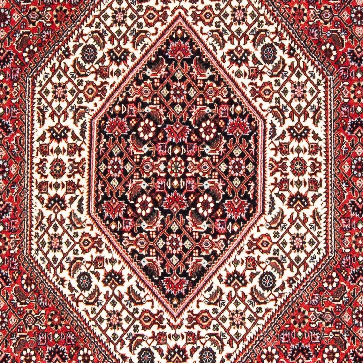 Perserteppich - Bidjar - Royal 177 x 110 cm