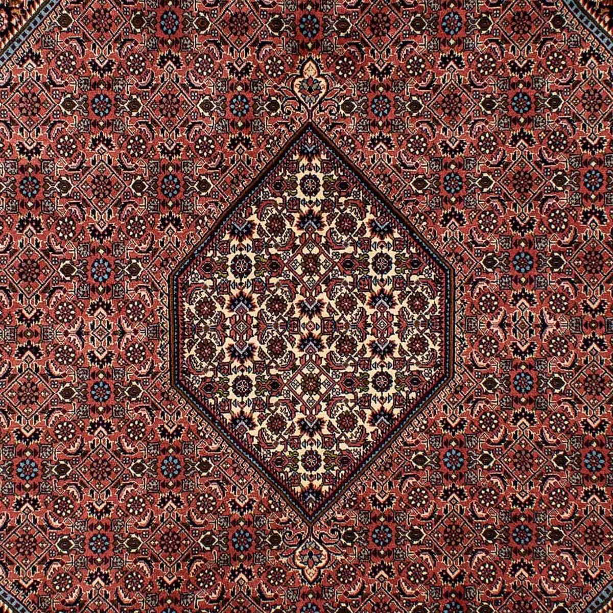 Perserteppich - Bidjar 296 x 201 cm