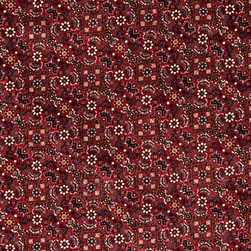 Perserteppich - Bidjar 200 x 200 cm