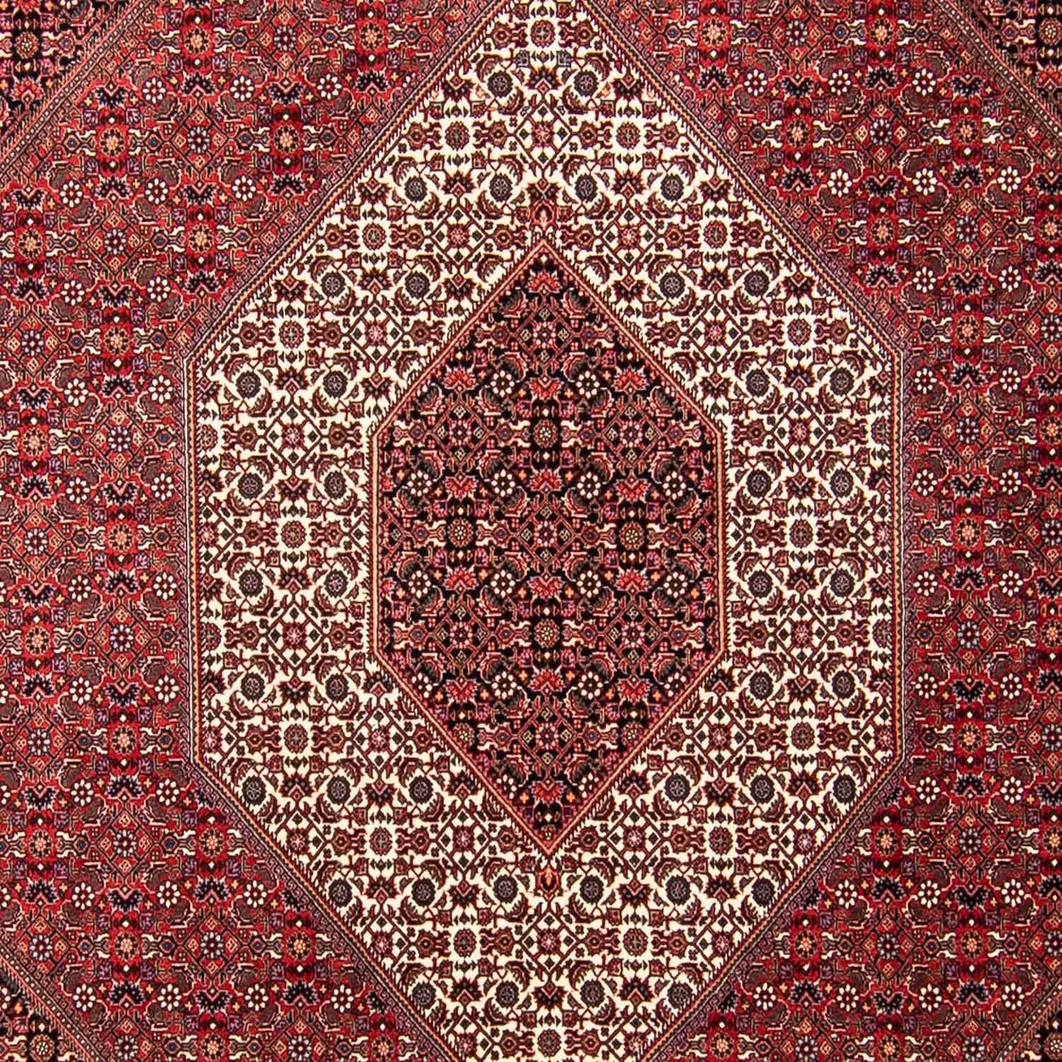 Perserteppich - Bidjar 297 x 250 cm