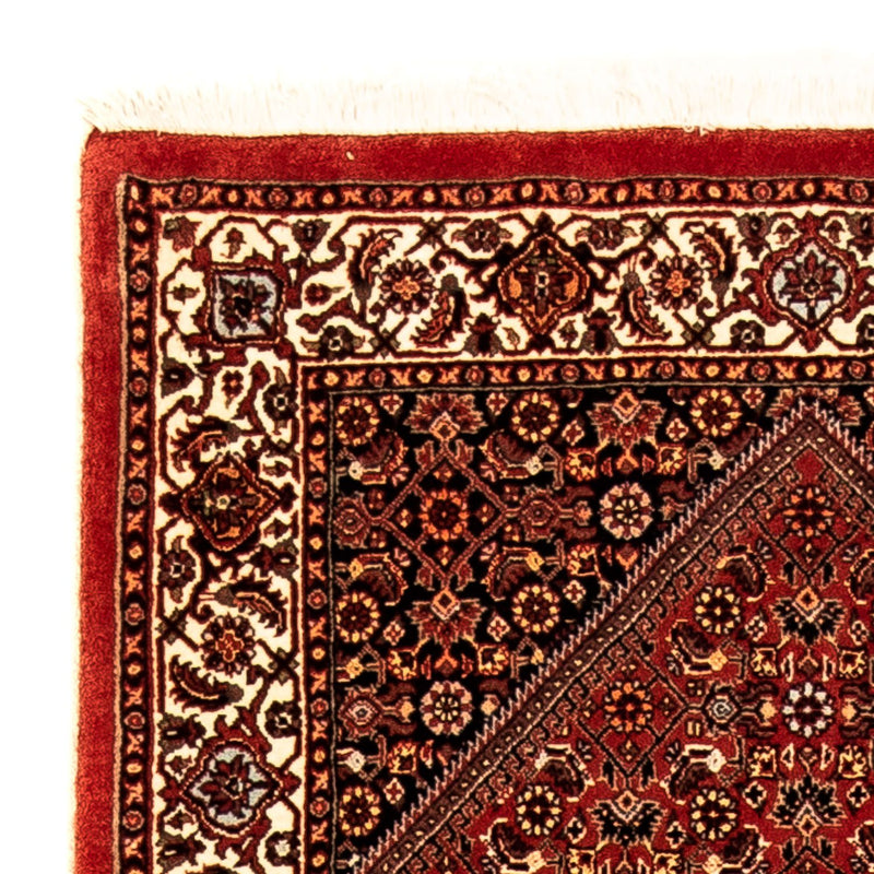 Perserteppich - Bidjar 277 x 80 cm