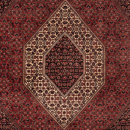 Perserteppich - Bidjar 259 x 201 cm Teppich Wohnzimmer