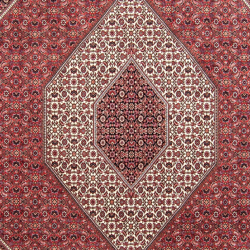 Perserteppich - Bidjar 295 x 253 cm