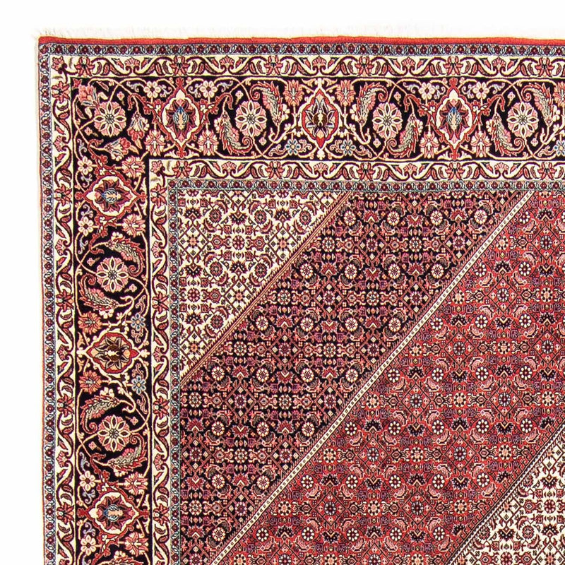 Perserteppich - Bidjar 295 x 253 cm