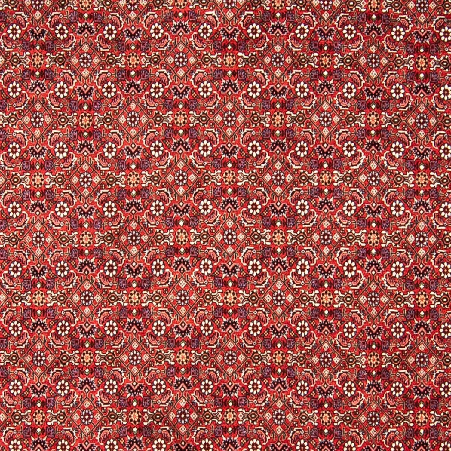 Perserteppich - Bidjar 290 x 250 cm