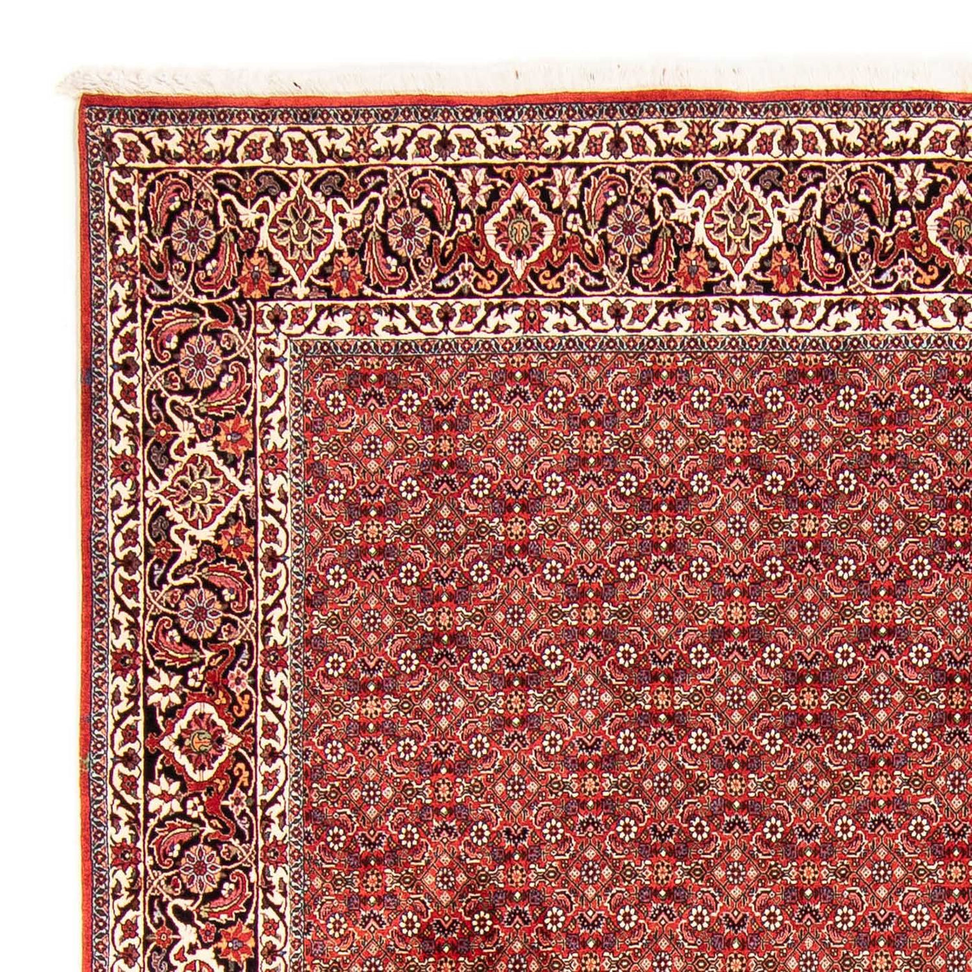 Bidjar Teppich 290x250cm - Perserteppich