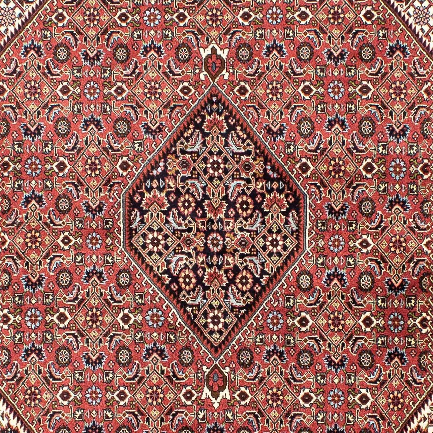 Perserteppich - Bidjar 250 x 173 cm
