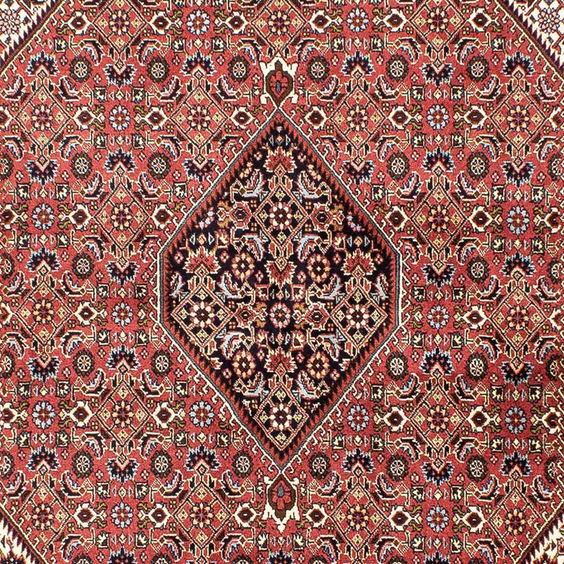 Perserteppich - Bidjar 250 x 173 cm