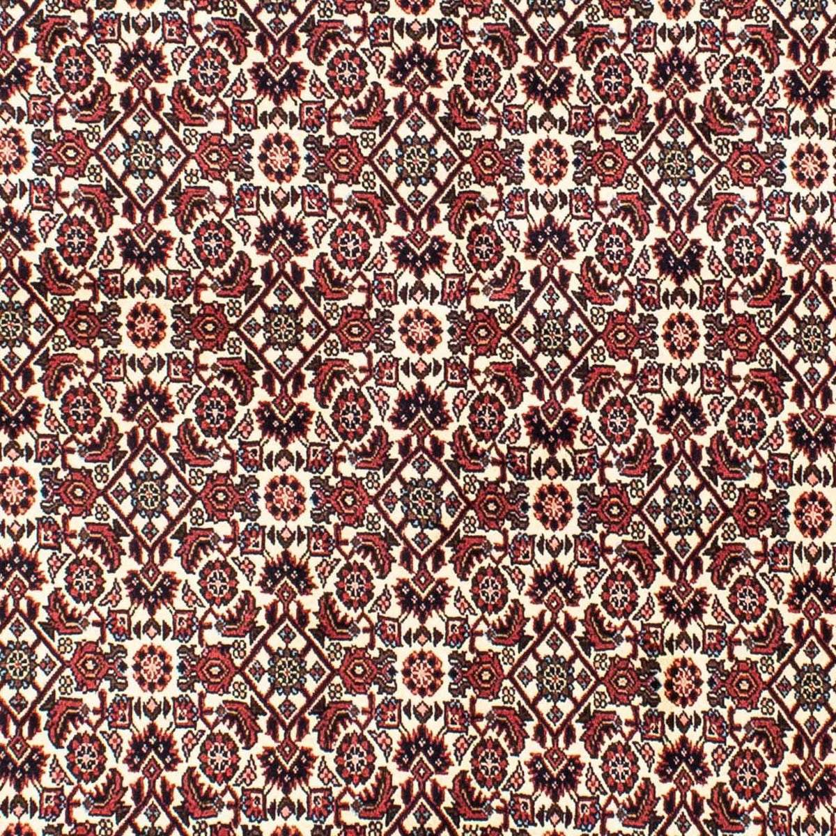 Perserteppich - Bidjar 202 x 145 cm