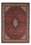 Perserteppich - Bidjar 232 x 168 cm