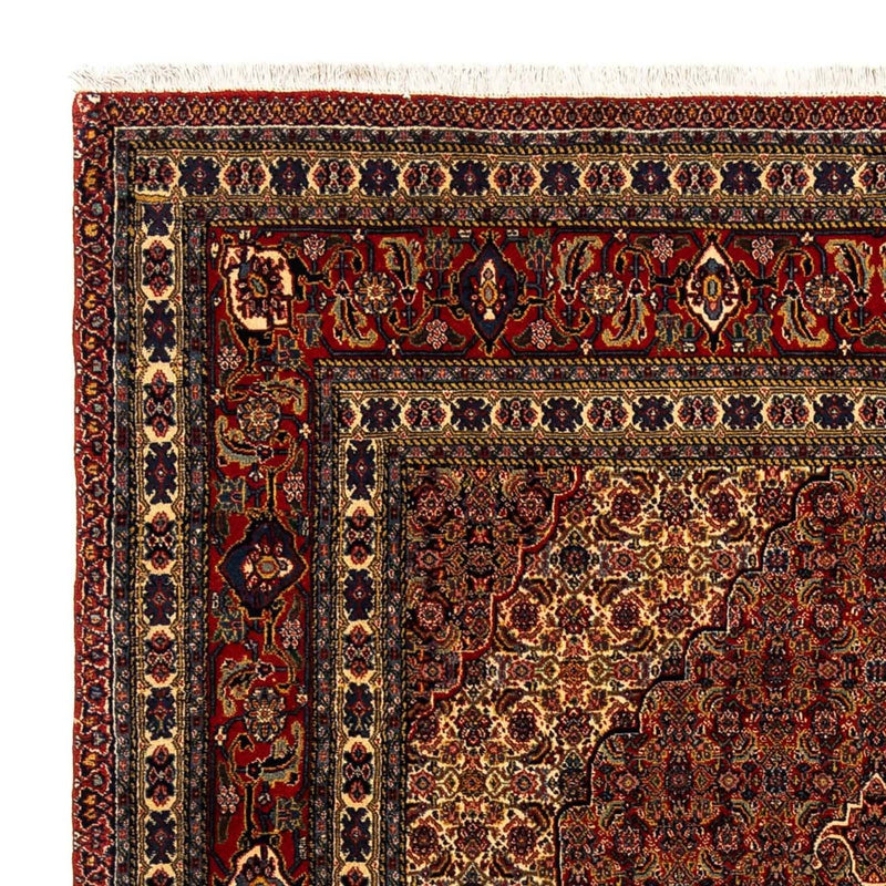 Perserteppich - Nomadic 288 x 198 cm