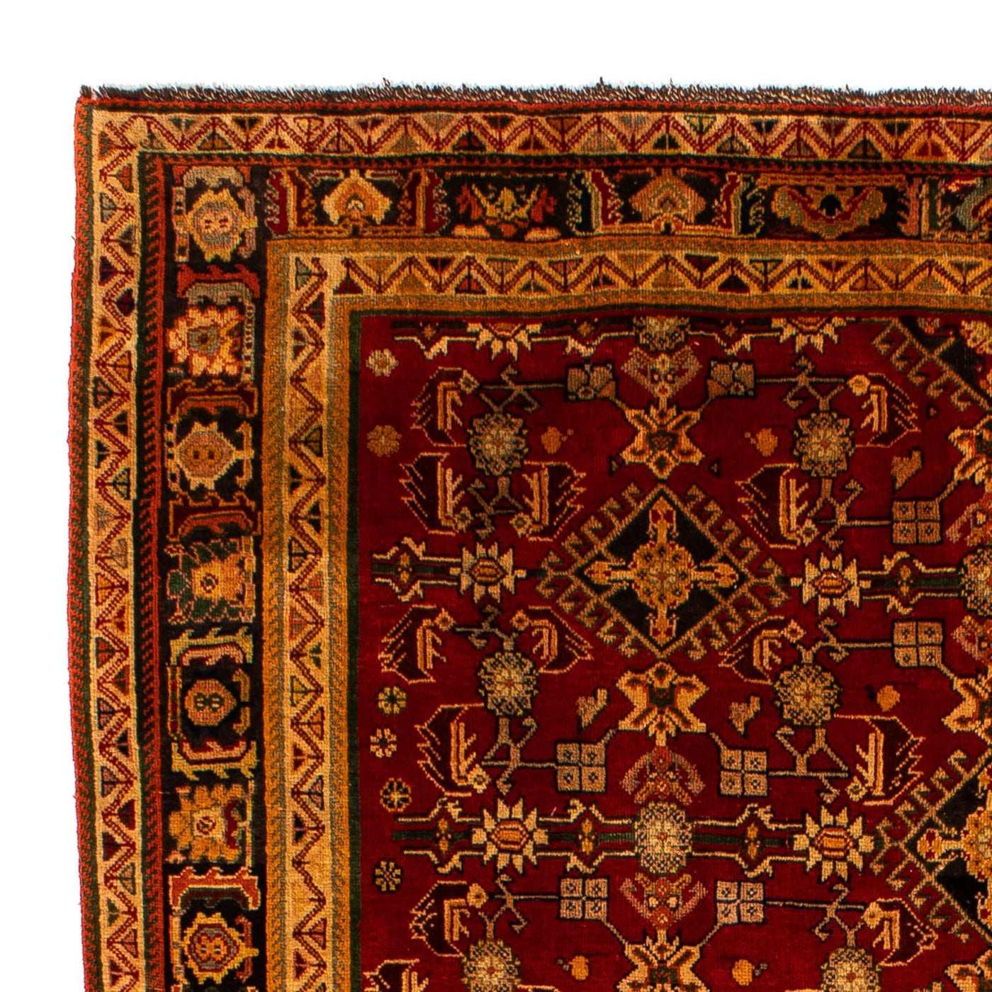Shiraz Teppich 296x190cm - Perserteppich