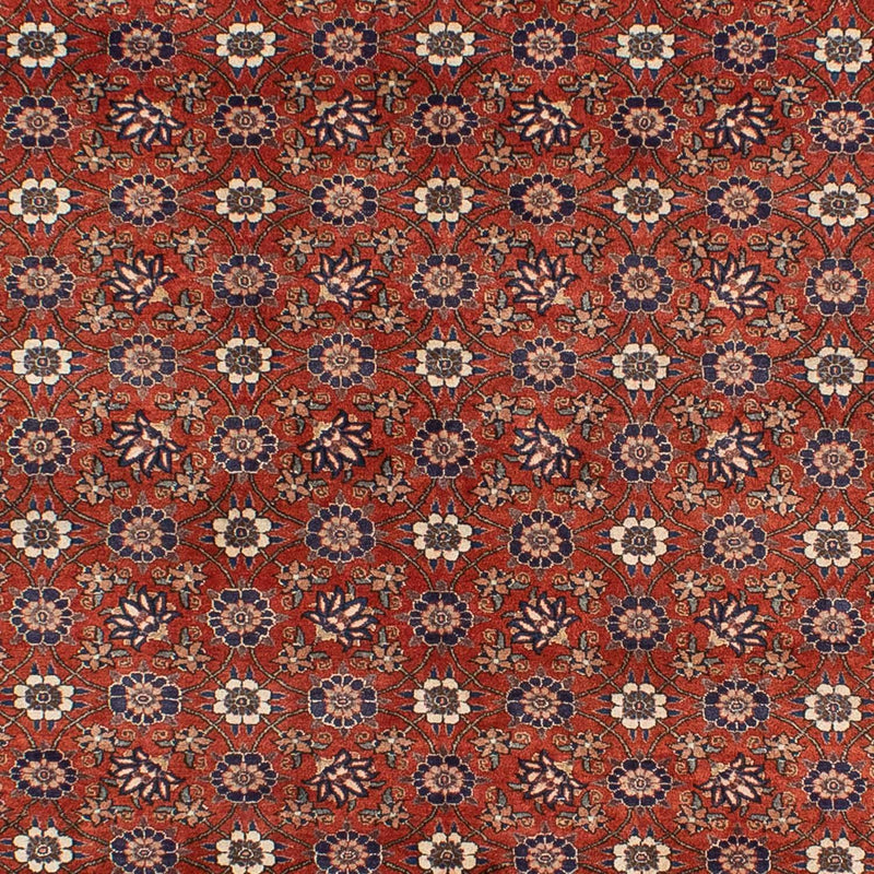 Perserteppich - Nomadic 301 x 223 cm