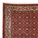 Perserteppich - Nomadic 301 x 223 cm