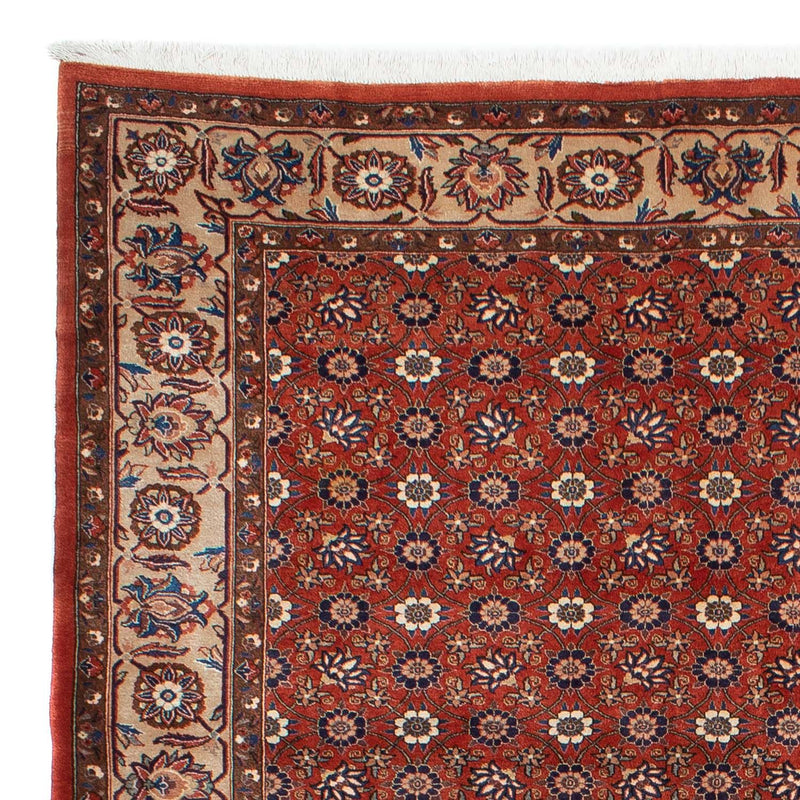 Perserteppich - Nomadic 301 x 223 cm