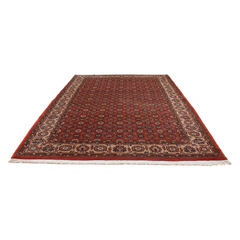 Perserteppich - Nomadic 301 x 223 cm