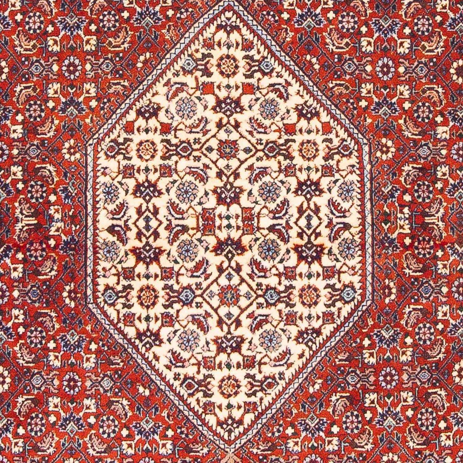 Perserteppich - Bidjar - Royal 168 x 110 cm - rot