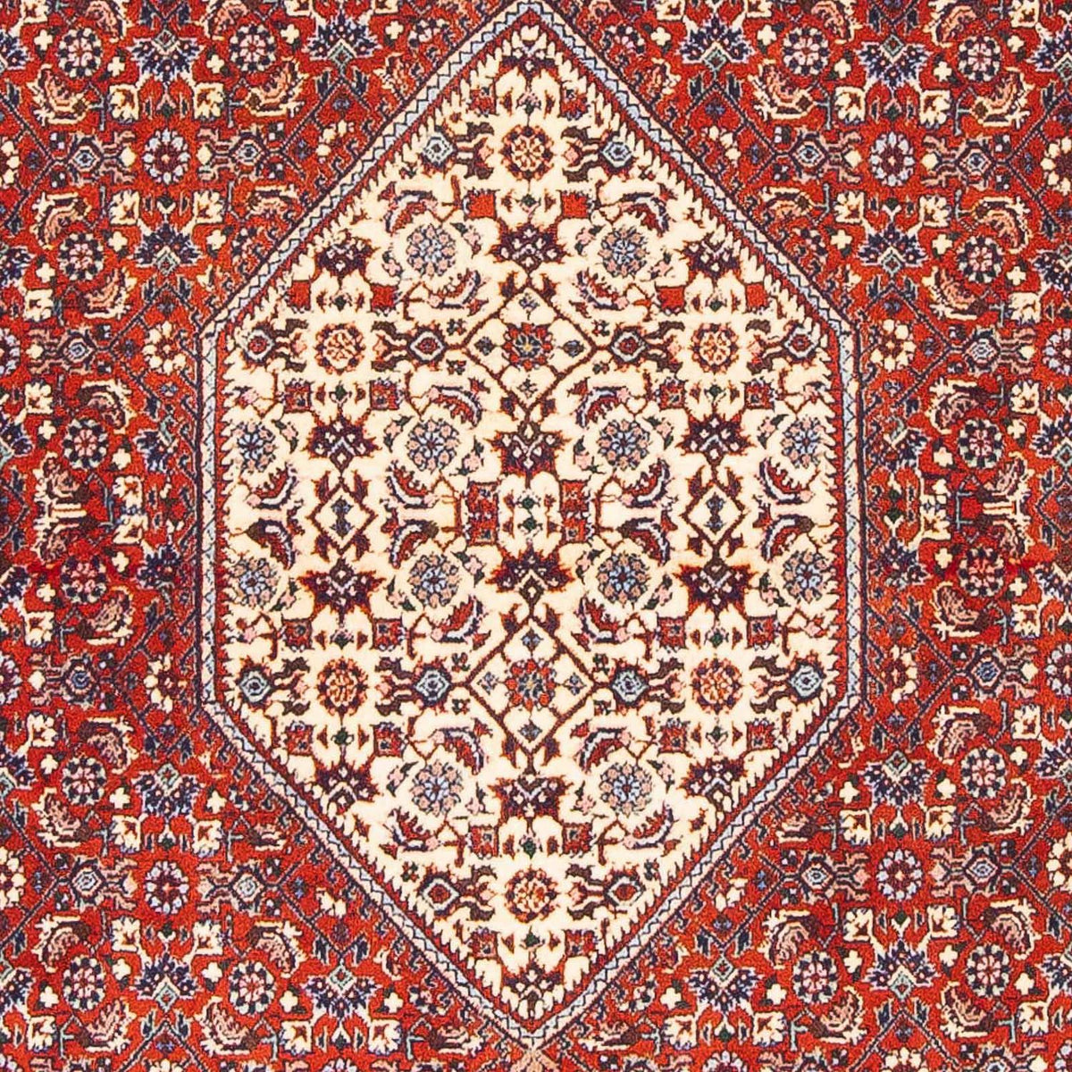 Perserteppich - Bidjar - Royal 168 x 110 cm - rot
