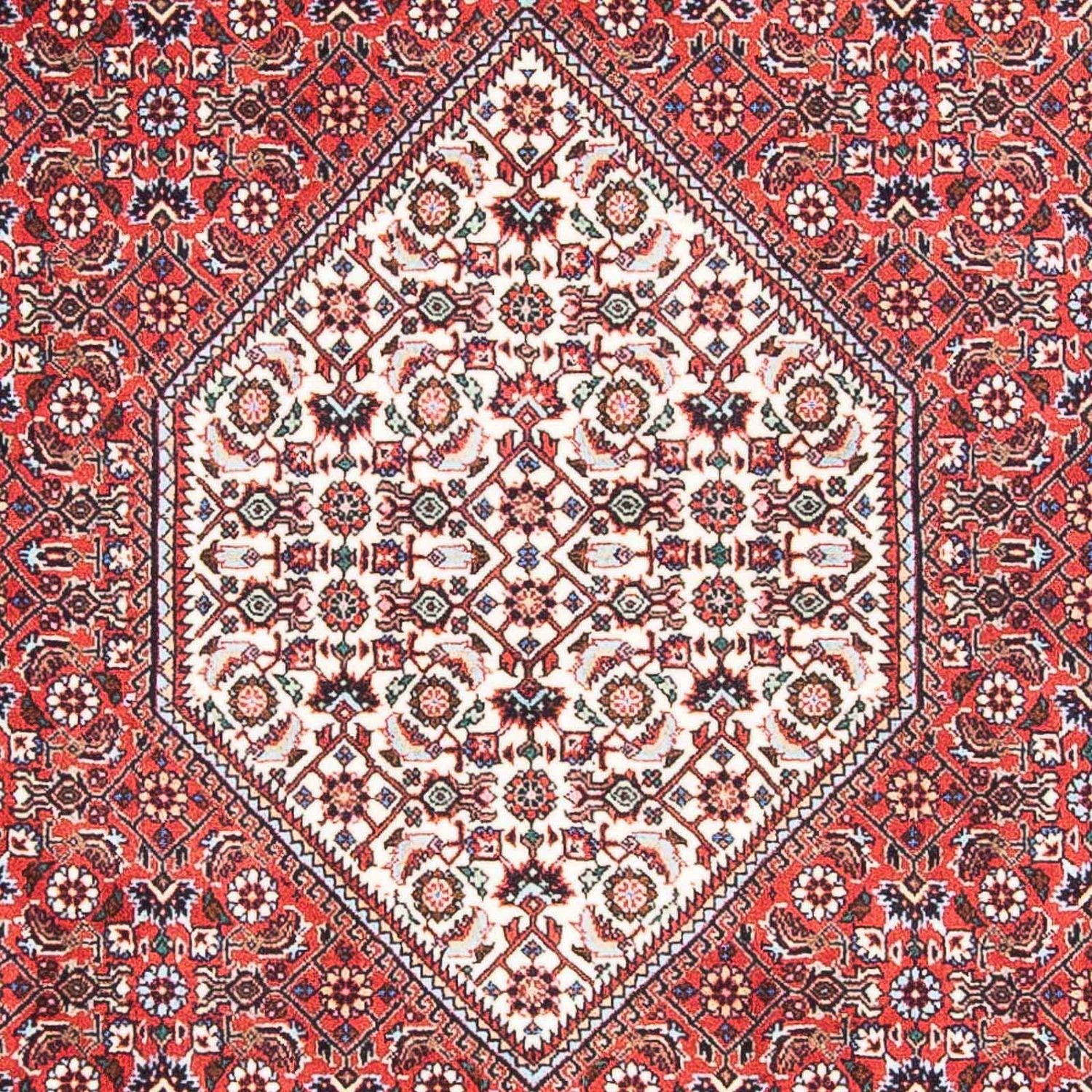 Perserteppich - Bidjar - Royal 168 x 107 cm