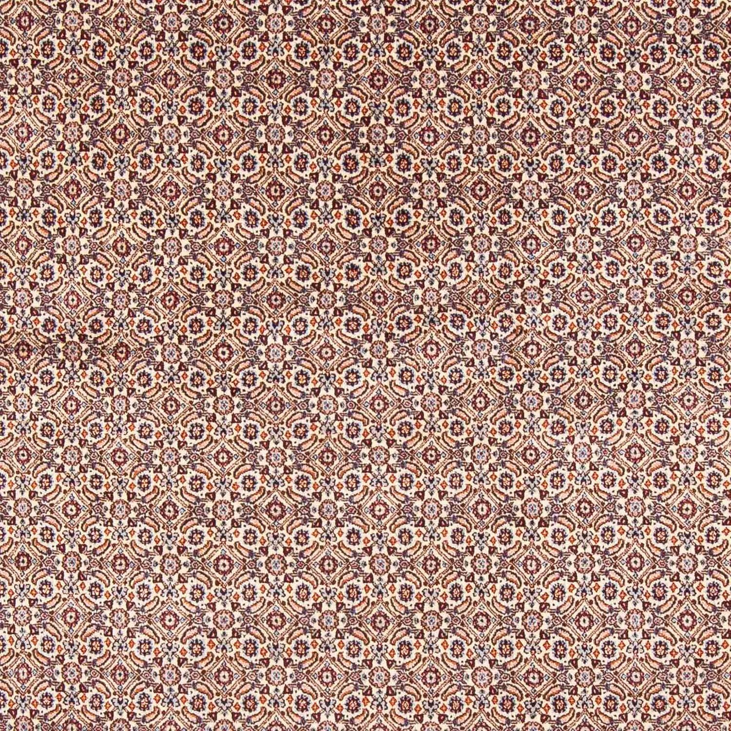 Perserteppich - Classic 244 x 196 cm