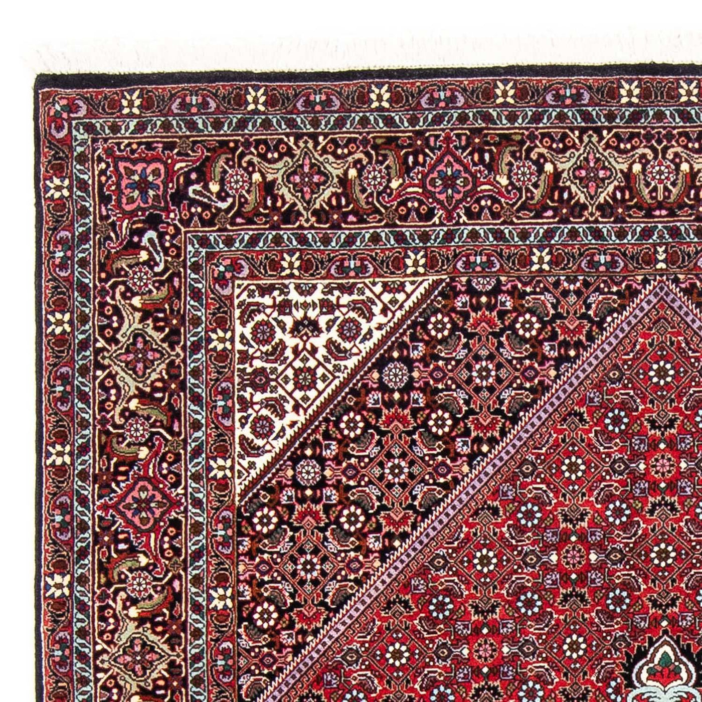 Bidjar Teppich 250x149cm - Perserteppich