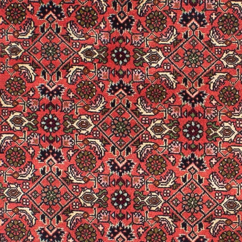 Perserteppich - Bidjar 248 x 71 cm
