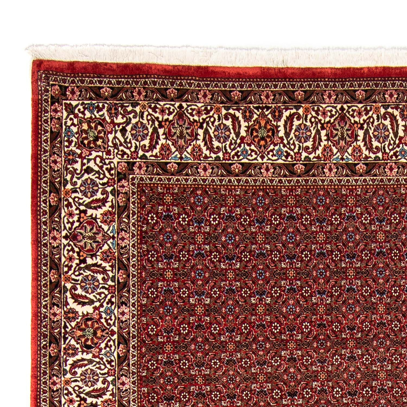 Bidjar Teppich 330x246cm - Perserteppich