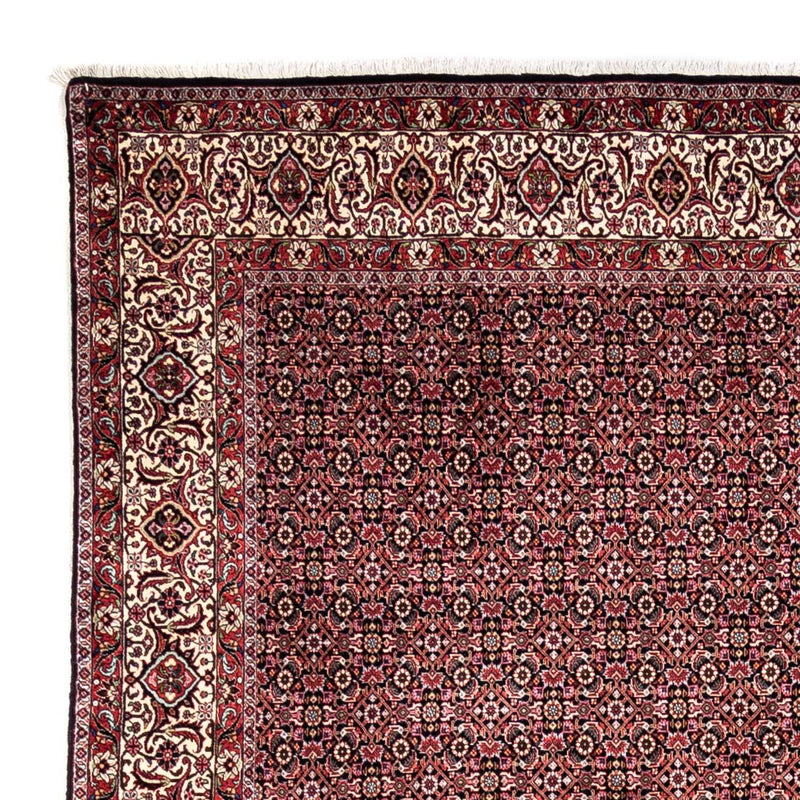 Perserteppich - Bidjar - Royal 345 x 246 cm