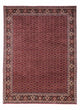 Perserteppich - Bidjar - Royal 349 x 250 cm - rot
