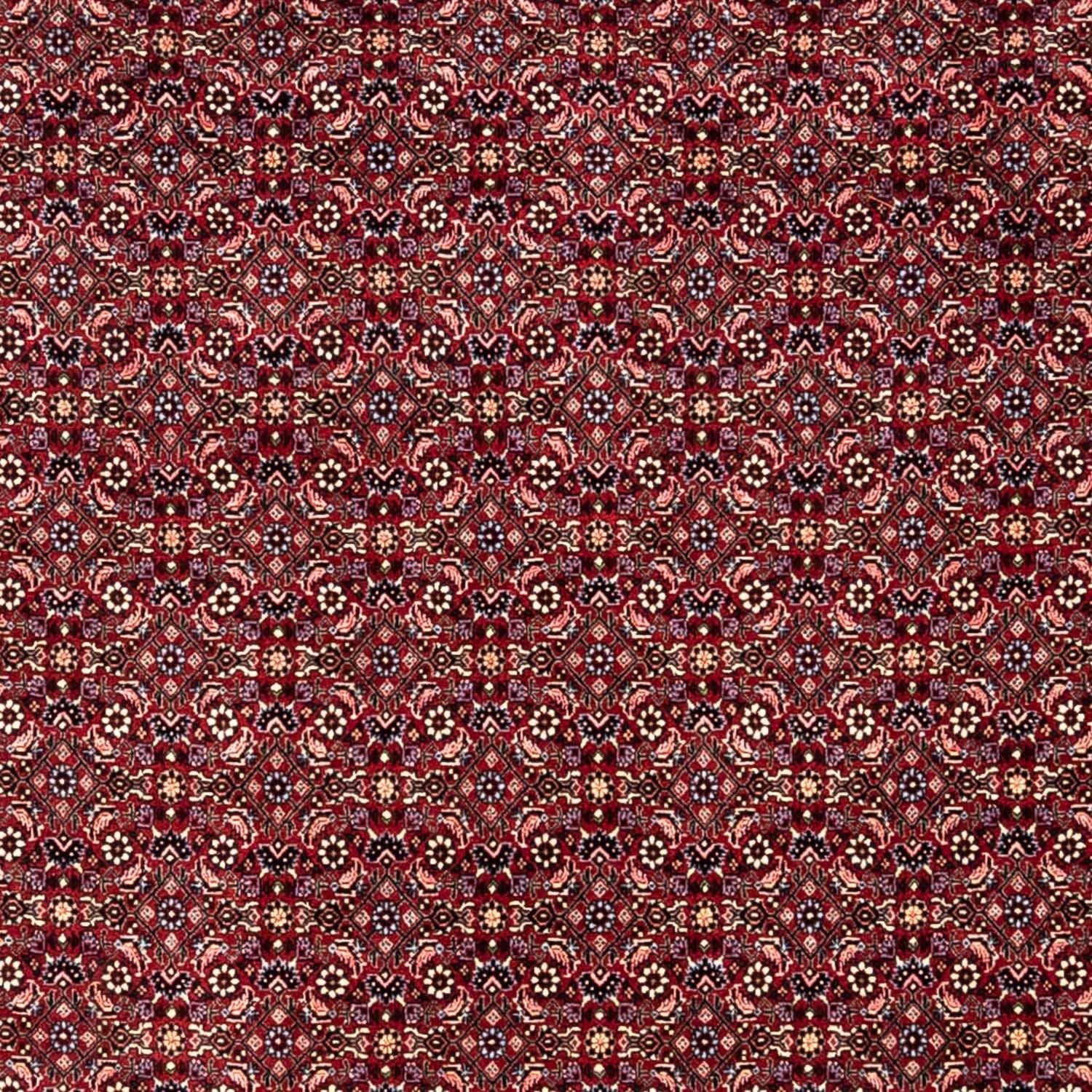 Perserteppich - Bidjar - Royal 349 x 250 cm - rot