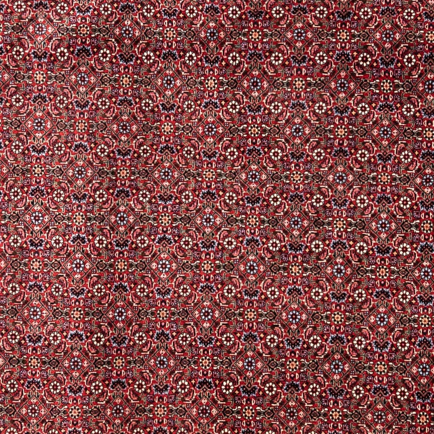 Perserteppich - Bidjar - Royal 335 x 255 cm