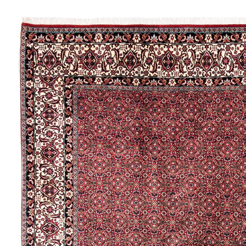Perserteppich - Bidjar - Royal 335 x 255 cm
