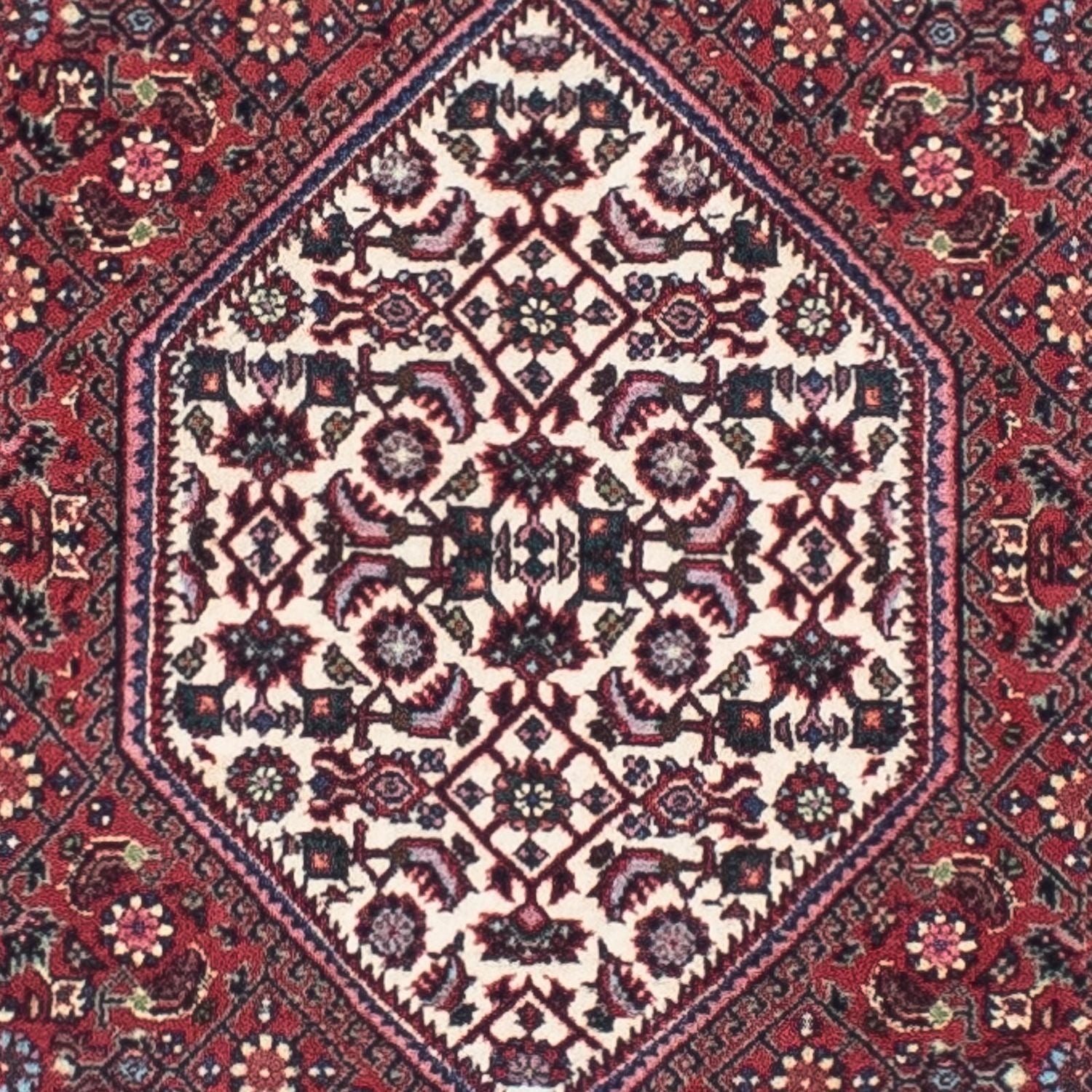 Perserteppich - Bidjar - Royal 243 x 70 cm Teppichläufer