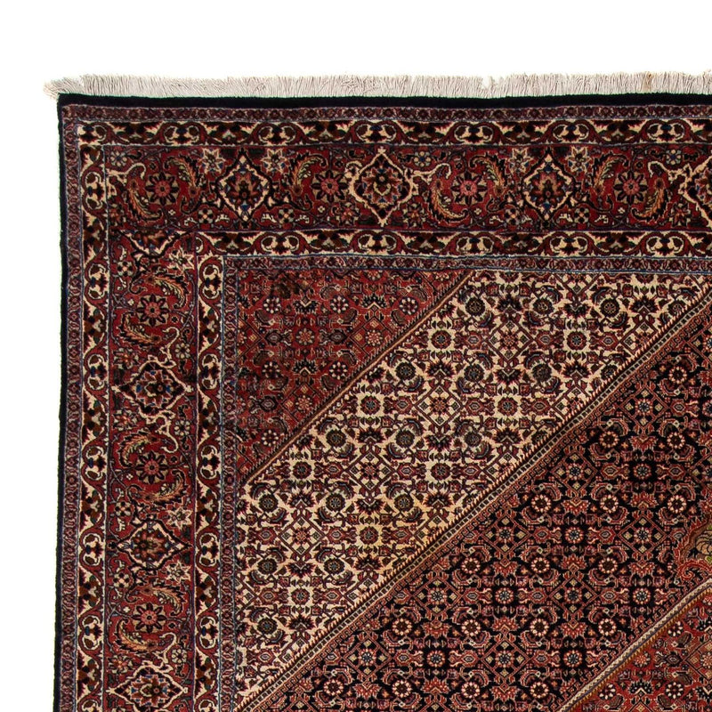 Perserteppich - Bidjar 272 x 198 cm