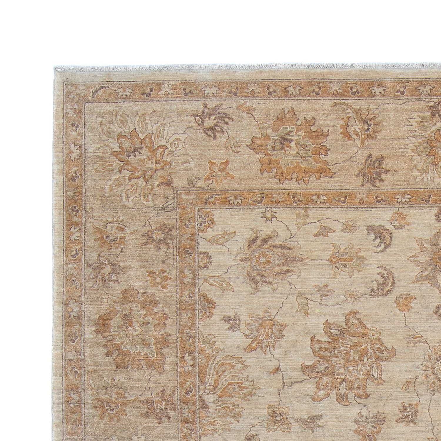 Ziegler Teppich 337 x 249 cm