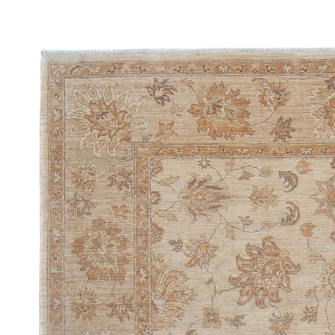 Ziegler Teppich 337x249cm - Orientteppich