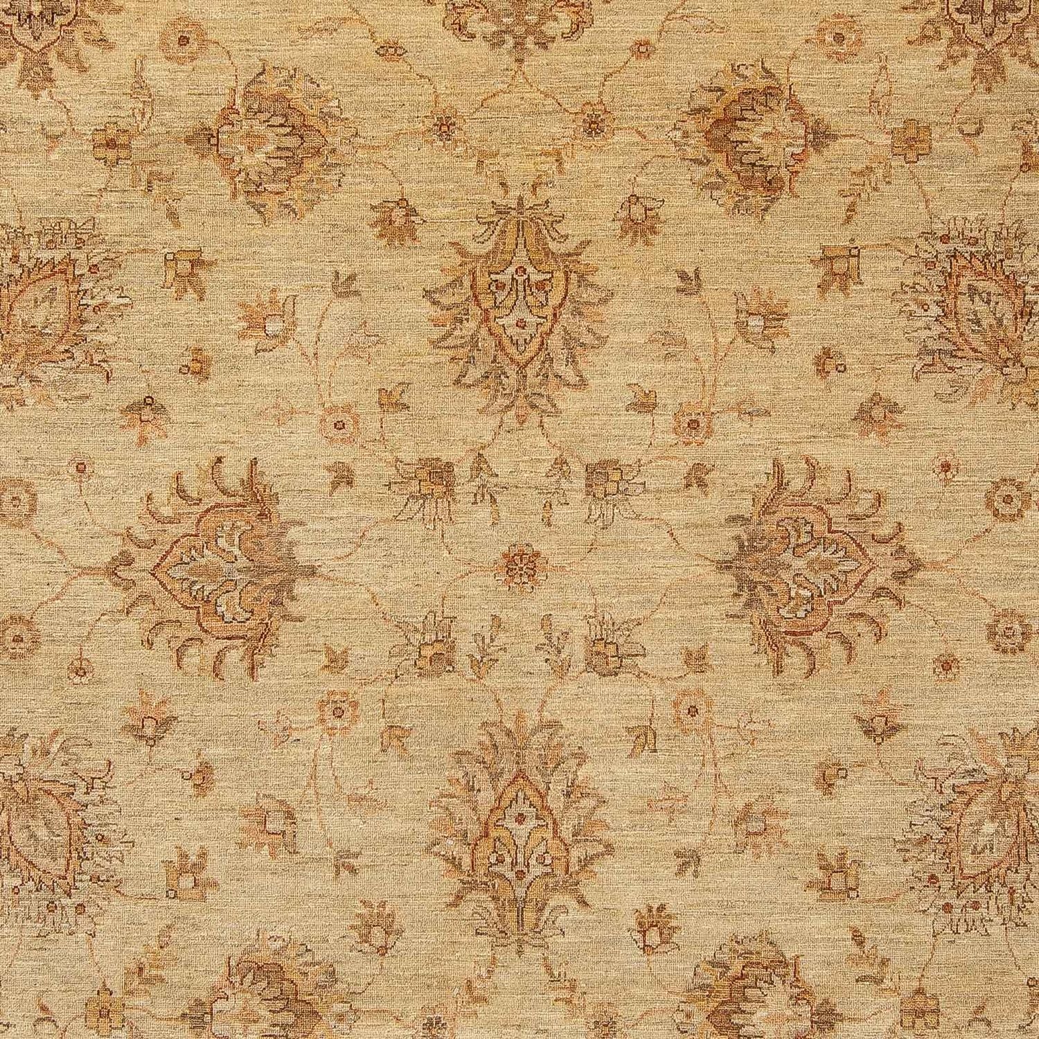 Ziegler Teppich 293 x 244 cm