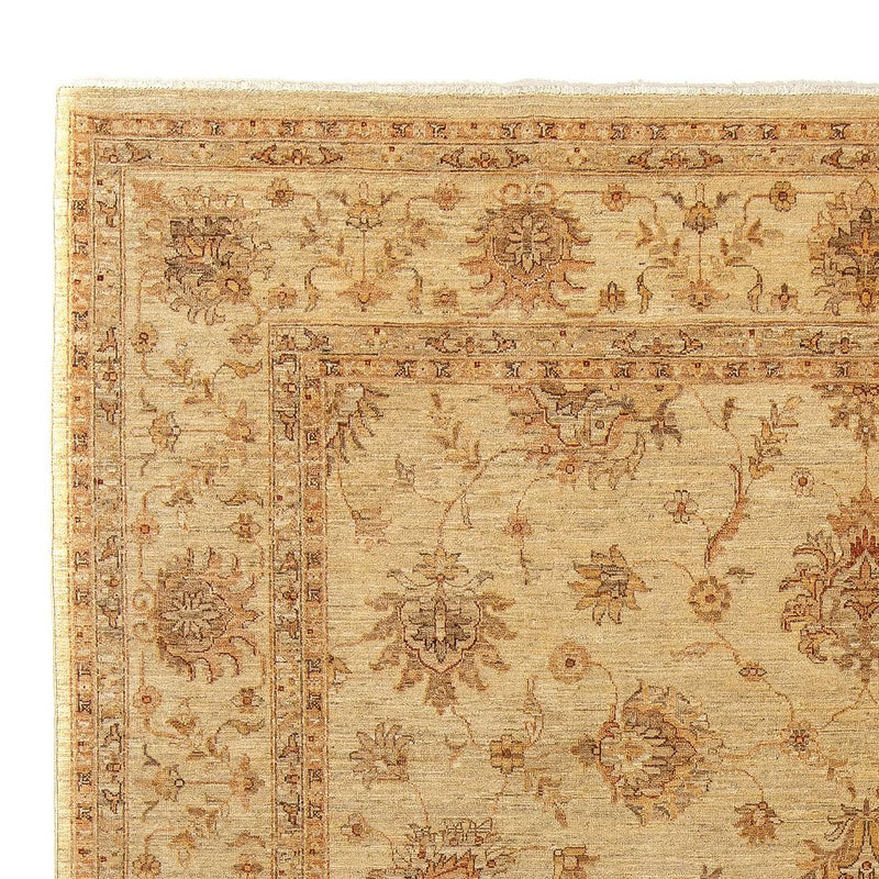 Ziegler Teppich 293 x 244 cm