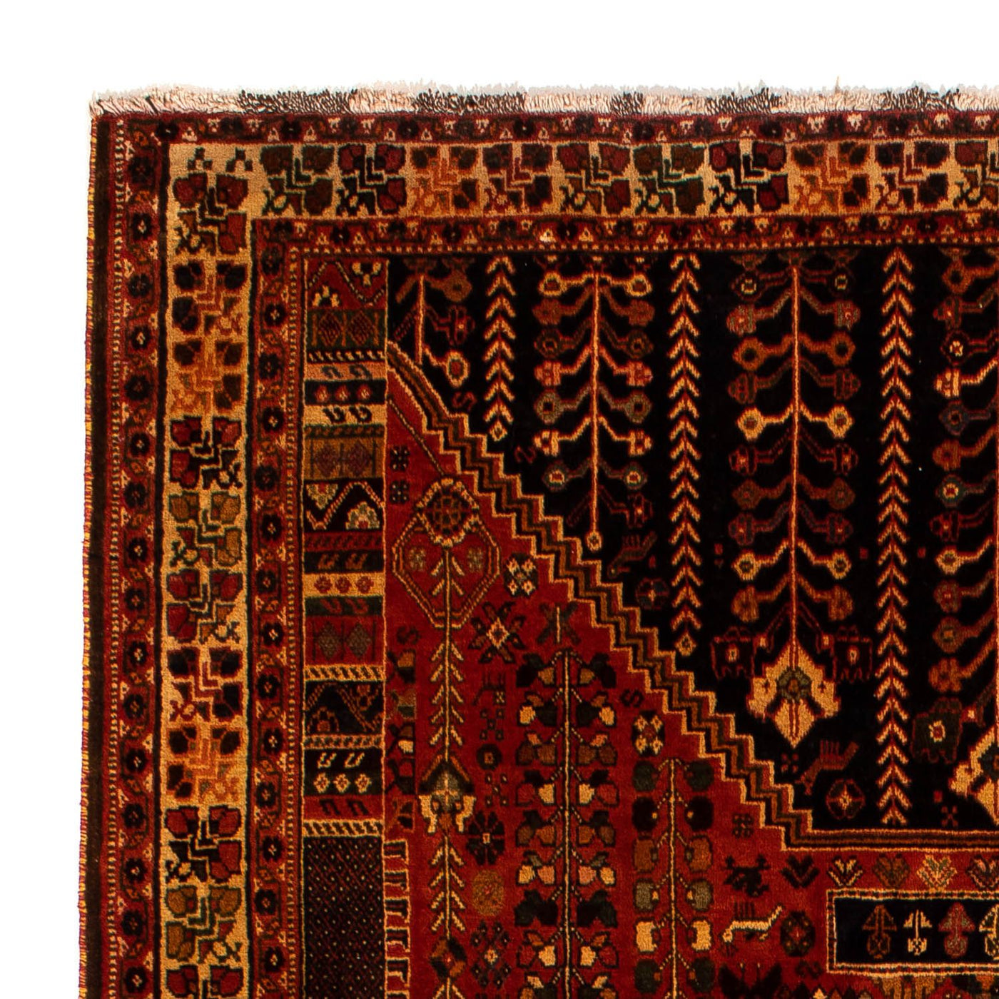 Shiraz Teppich 304x204cm - Perserteppich