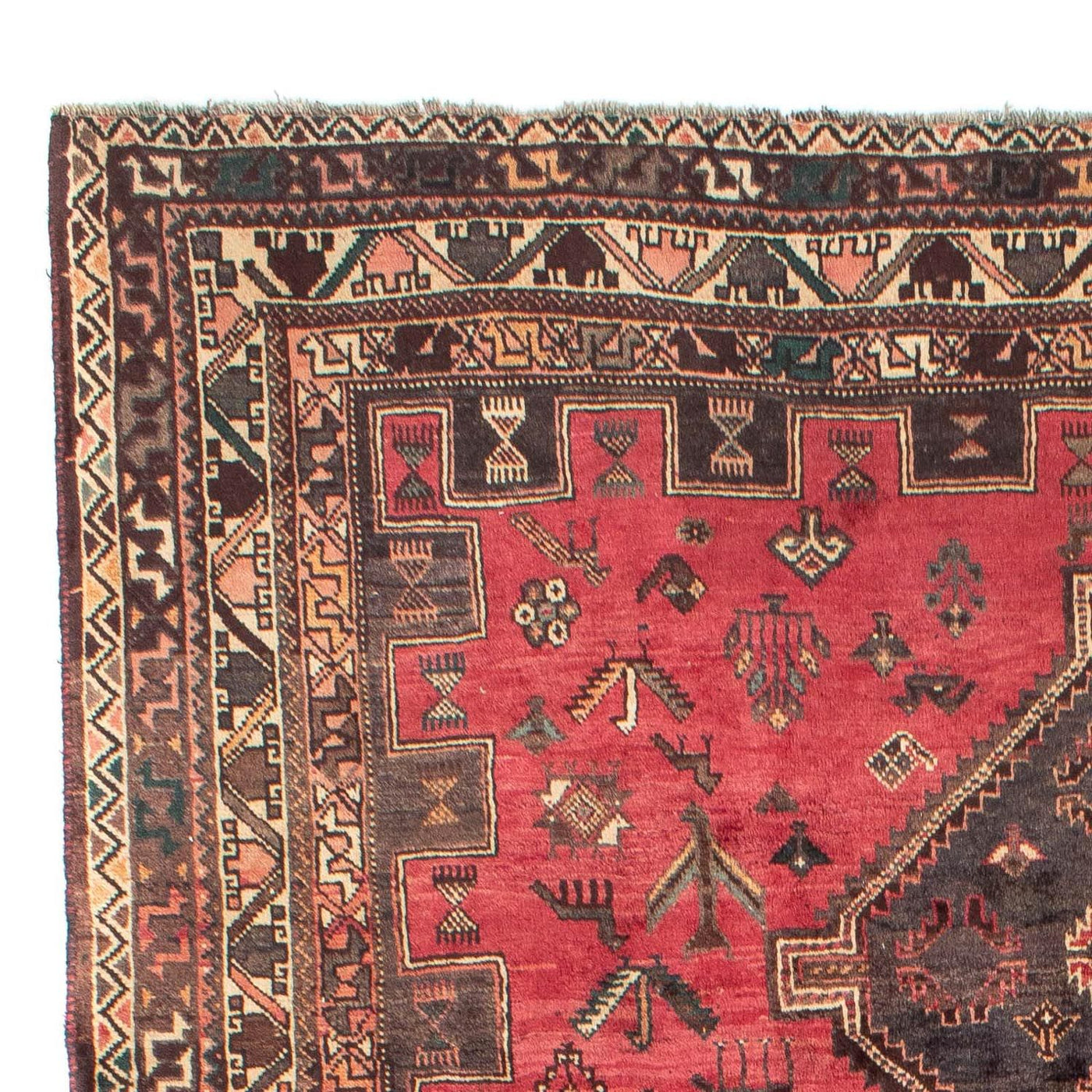 Shiraz Teppich 294x217cm - Perserteppich