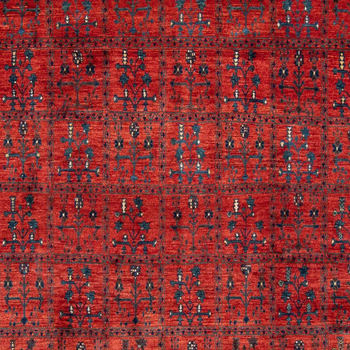 Gabbeh Teppich - Kaschkuli Persern 345 x 260 cm