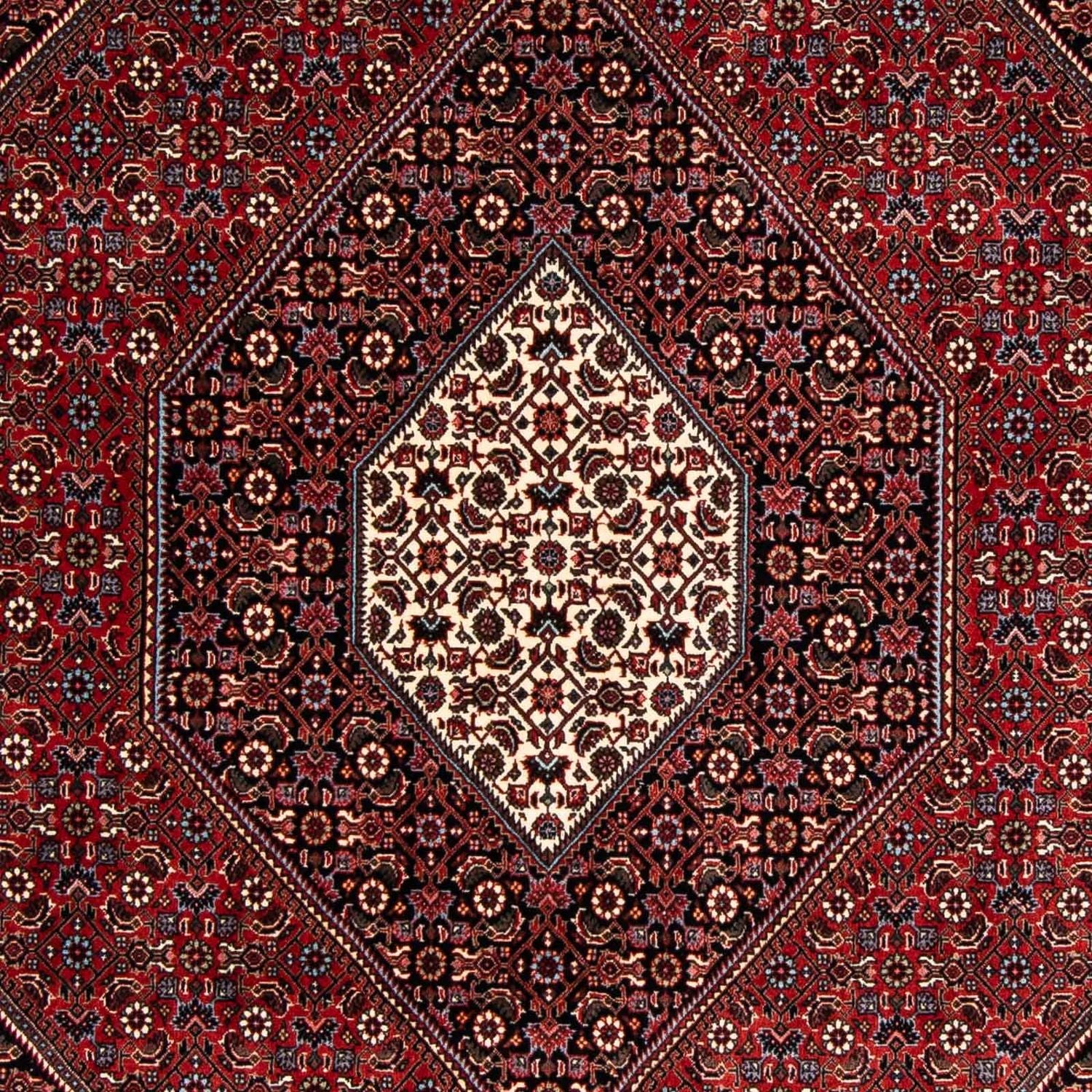 Perserteppich - Bidjar 241 x 170 cm