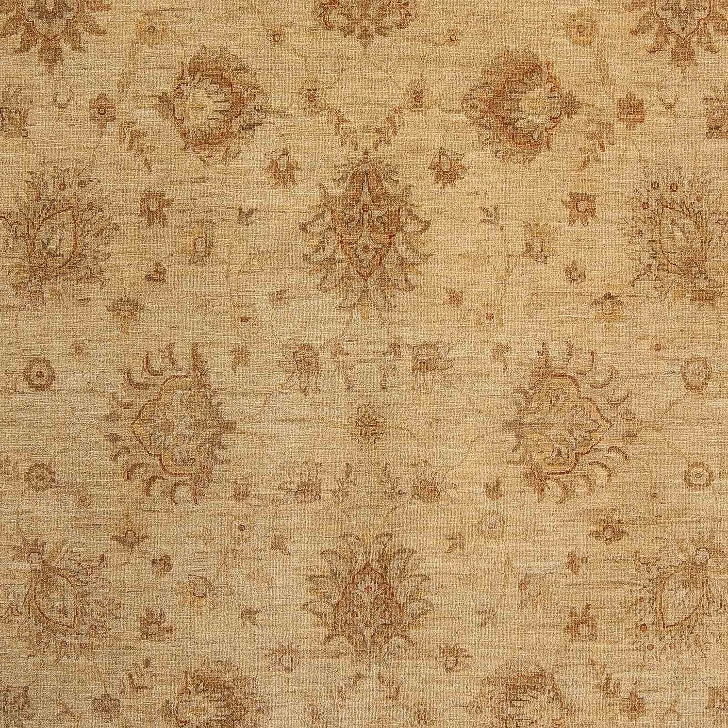 Ziegler Teppich 290 x 246 cm